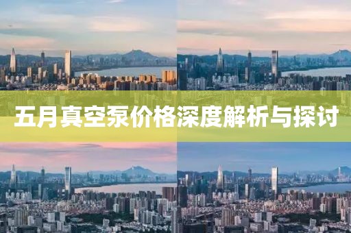 五月真空泵价格深度解析与探讨