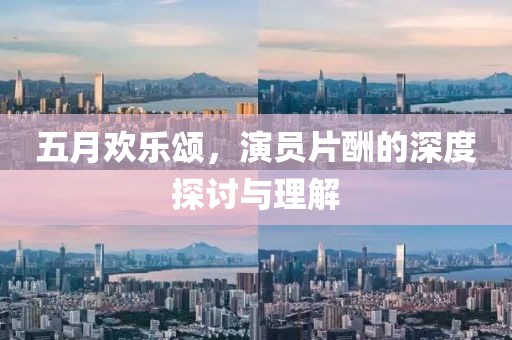 五月欢乐颂，演员片酬的深度探讨与理解