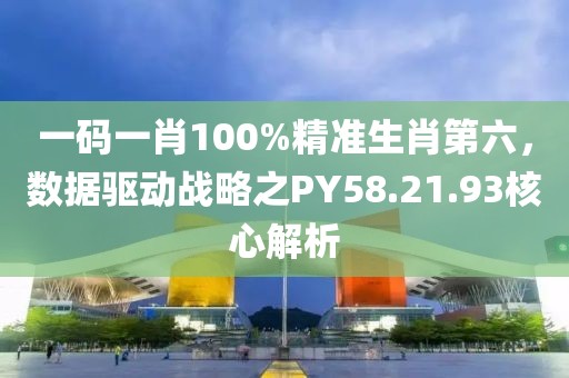 一码一肖100%精准生肖第六，数据驱动战略之PY58.21.93核心解析