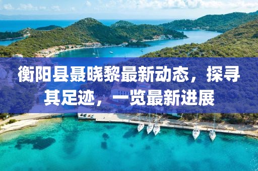 衡阳县聂晓黎最新动态，探寻其足迹，一览最新进展