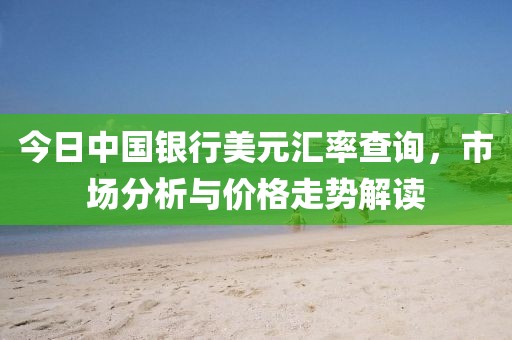 今日中国银行美元汇率查询，市场分析与价格走势解读