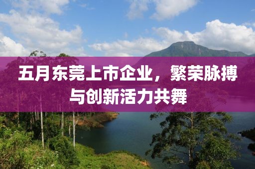 五月东莞上市企业，繁荣脉搏与创新活力共舞