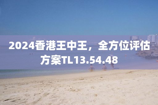 2024香港王中王，全方位评估方案TL13.54.48