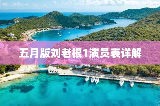 五月版刘老根1演员表详解