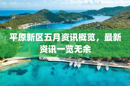 平原新区五月资讯概览，最新资讯一览无余