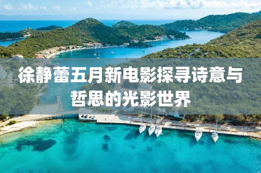 徐静蕾五月新电影探寻诗意与哲思的光影世界