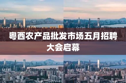 粤西农产品批发市场五月招聘大会启幕