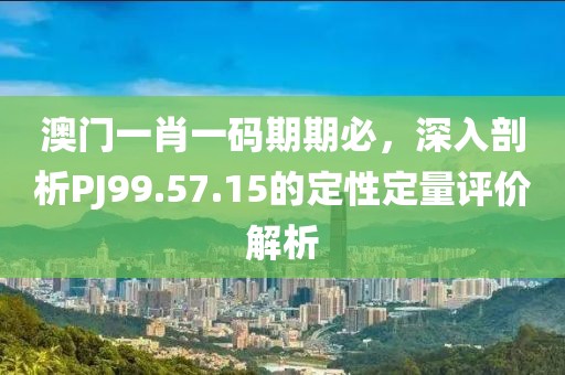 澳门一肖一码期期必，深入剖析PJ99.57.15的定性定量评价解析