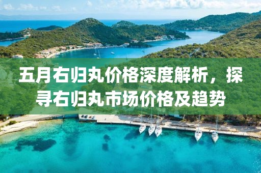 五月右归丸价格深度解析，探寻右归丸市场价格及趋势