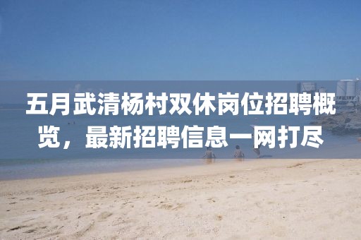 五月武清杨村双休岗位招聘概览，最新招聘信息一网打尽