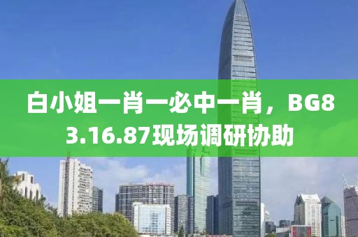 白小姐一肖一必中一肖，BG83.16.87现场调研协助
