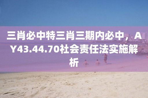三肖必中特三肖三期内必中，AY43.44.70社会责任法实施解析