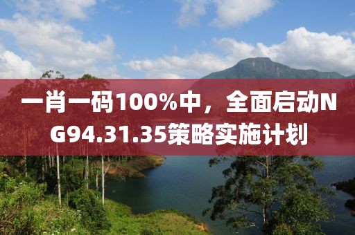 一肖一码100%中，全面启动NG94.31.35策略实施计划