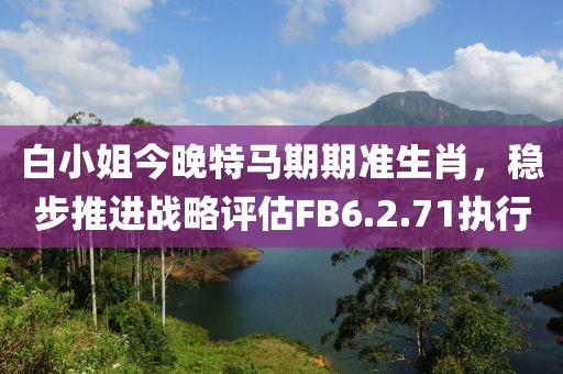 白小姐今晚特马期期准生肖，稳步推进战略评估FB6.2.71执行