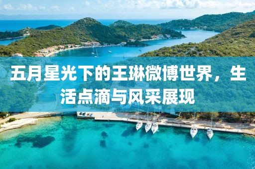 五月星光下的王琳微博世界，生活点滴与风采展现