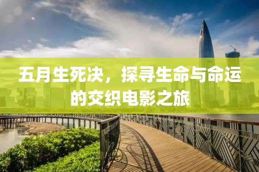 五月生死决，探寻生命与命运的交织电影之旅