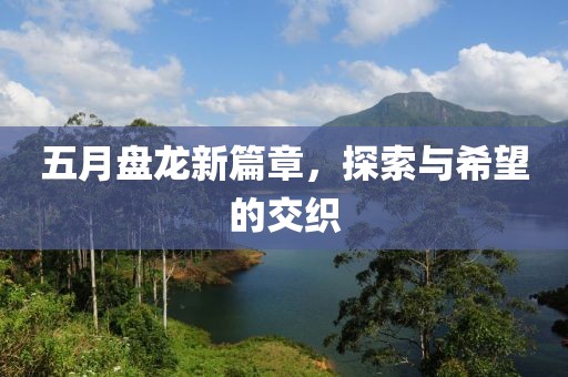 五月盘龙新篇章，探索与希望的交织