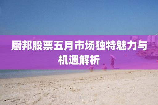 厨邦股票五月市场独特魅力与机遇解析