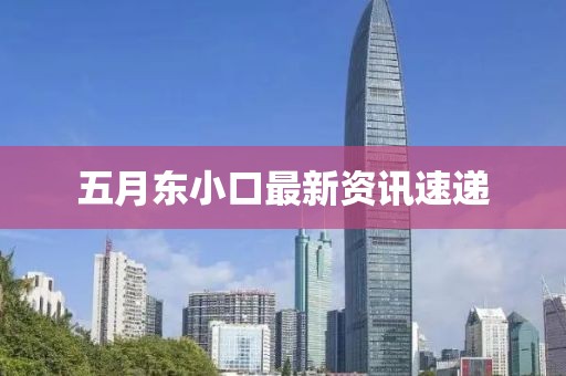 五月东小口最新资讯速递