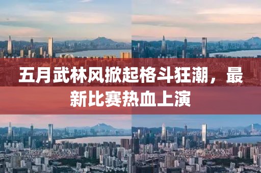 五月武林风掀起格斗狂潮，最新比赛热血上演