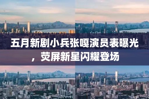 五月新剧小兵张嘎演员表曝光，荧屏新星闪耀登场