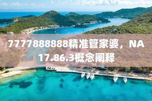 7777888888精准管家婆，NA17.86.3概念阐释