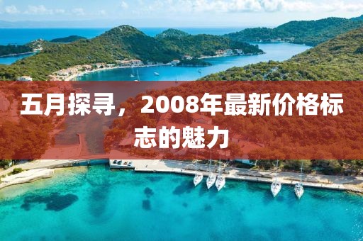 五月探寻，2008年最新价格标志的魅力