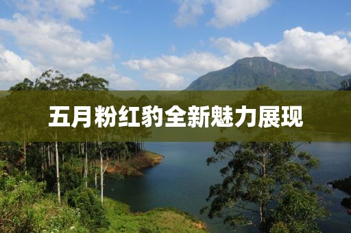 五月粉红豹全新魅力展现