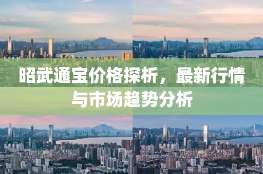 昭武通宝价格探析，最新行情与市场趋势分析
