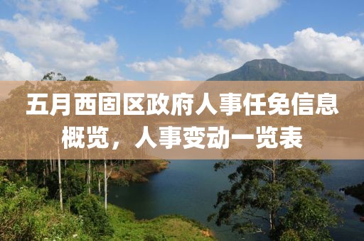 五月西固区政府人事任免信息概览，人事变动一览表
