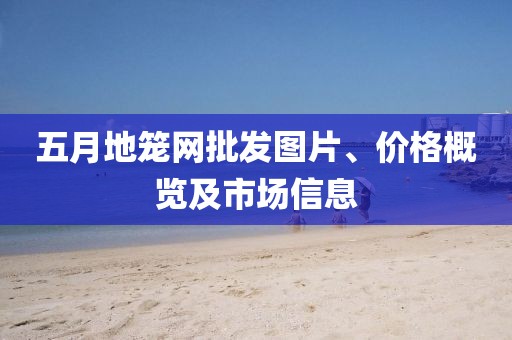 2025年5月8日 第10页