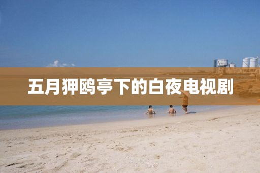 五月狎鸥亭下的白夜电视剧