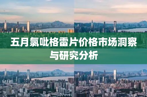 五月氯吡格雷片价格市场洞察与研究分析