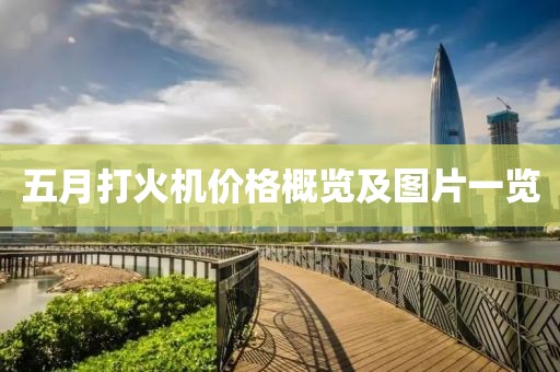 五月打火机价格概览及图片一览