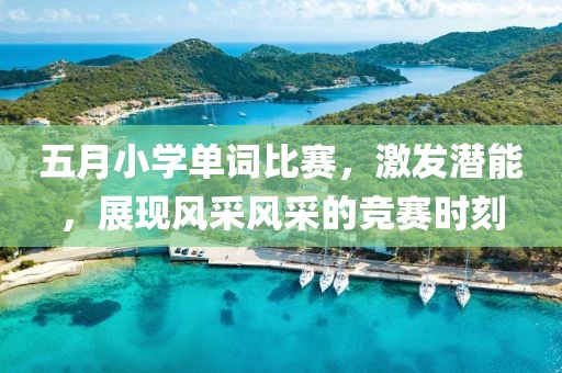 五月小学单词比赛，激发潜能，展现风采风采的竞赛时刻