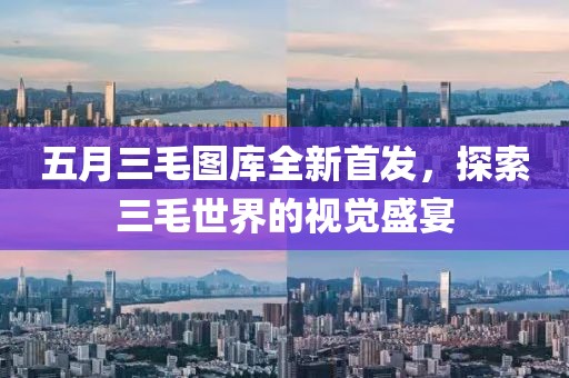 五月三毛图库全新首发，探索三毛世界的视觉盛宴