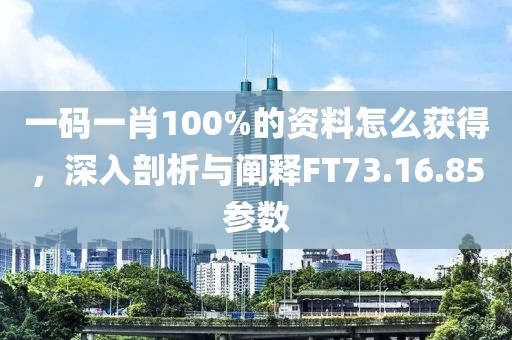 一码一肖100%的资料怎么获得，深入剖析与阐释FT73.16.85参数