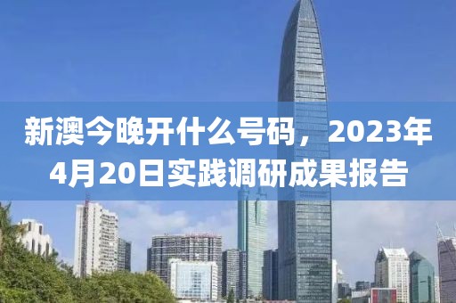 新澳今晚开什么号码，2023年4月20日实践调研成果报告