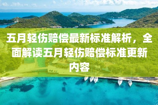 五月轻伤赔偿最新标准解析，全面解读五月轻伤赔偿标准更新内容