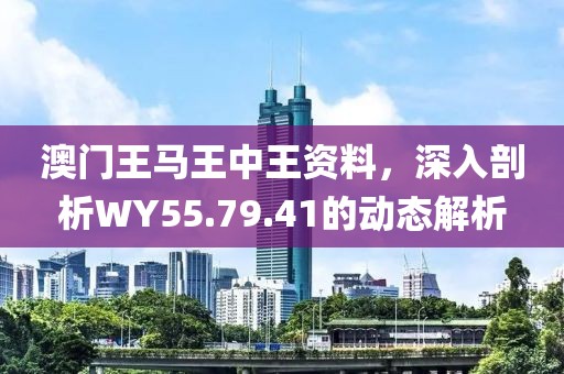 澳门王马王中王资料，深入剖析WY55.79.41的动态解析