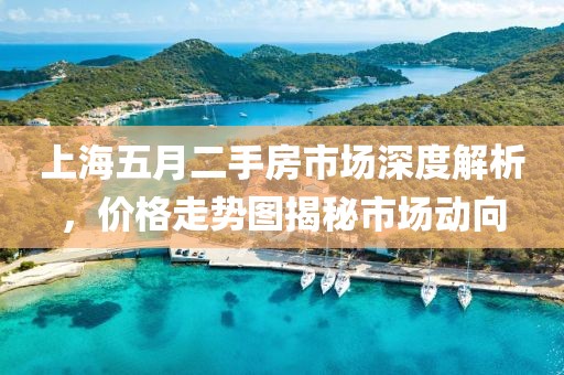 上海五月二手房市场深度解析，价格走势图揭秘市场动向