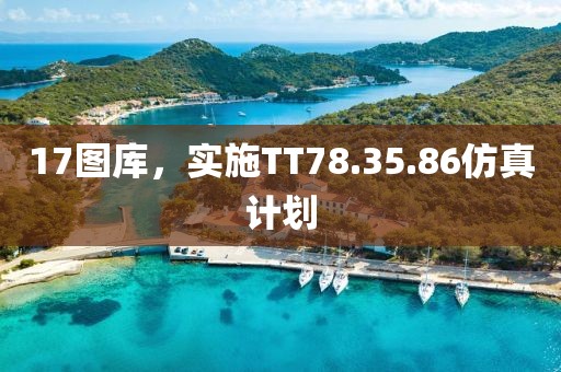 17图库，实施TT78.35.86仿真计划