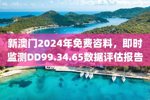 新澳门2024年免费咨料，即时监测DD99.34.65数据评估报告
