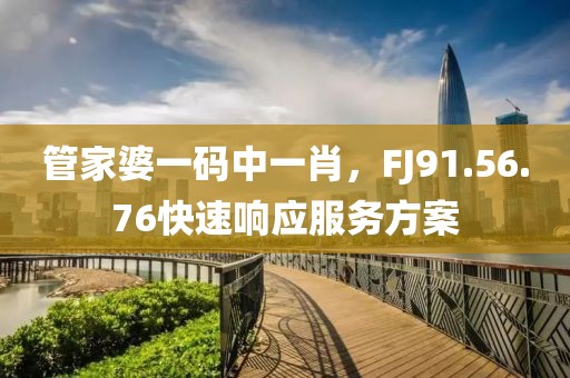 管家婆一码中一肖，FJ91.56.76快速响应服务方案