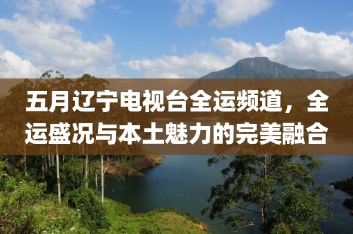 五月辽宁电视台全运频道，全运盛况与本土魅力的完美融合