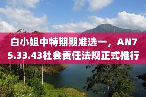 白小姐中特期期准选一，AN75.33.43社会责任法规正式推行