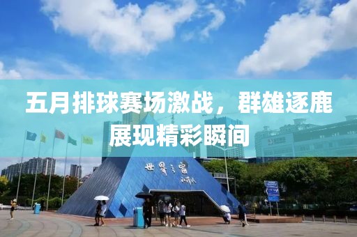 五月排球赛场激战，群雄逐鹿展现精彩瞬间