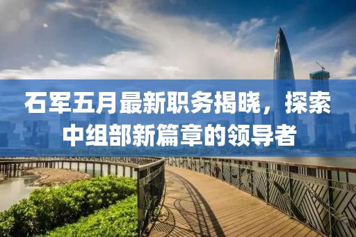 石军五月最新职务揭晓，探索中组部新篇章的领导者