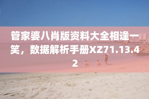 管家婆八肖版资料大全相逢一笑，数据解析手册XZ71.13.42