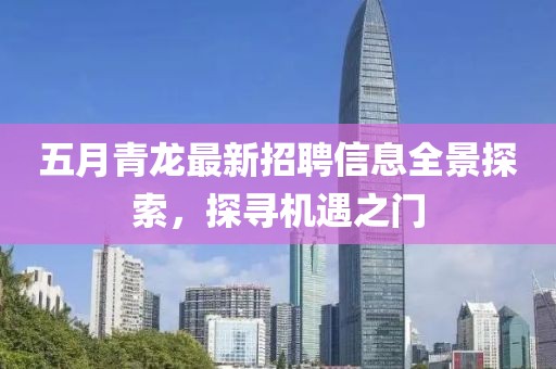 五月青龙最新招聘信息全景探索，探寻机遇之门